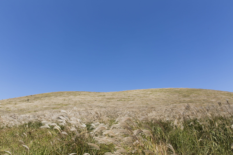 231, mountain, autumn, sky, day, jeju, jejudo, beauty in nature, jeju-do, blue, nature, scenics - nature, environment, tranquility, field, non-urban scene