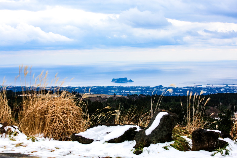 winter, day, sky, Jeju Island, scenics - nature, non-urban scene, tranquil scene, plant, beauty in nature, nature, covering, tranquility, no people, field