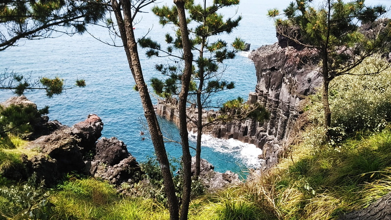 korea, non-urban scene, beauty in nature, shore, solid, no people, rock - object, plant, nature, rock, tranquil scene, jeju do, outdoors, flowing water