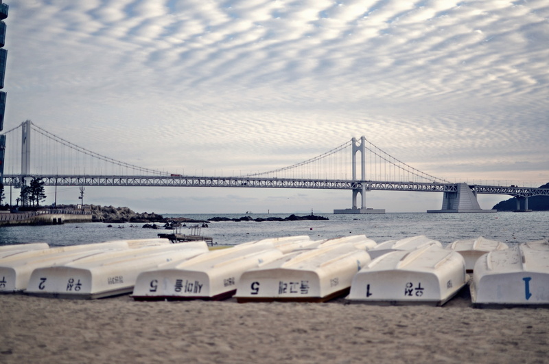 connection, boats, architecture, gwangan bridge, busan, beach, landmark, famous Place, sky, long, bay, landscape, outdoors, transportation, travel destinations
