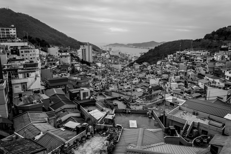 crowded, busan, high angle view, location, building, metropolis, architecture, residential district, gamcheon culture village, aerial view, sky, nature