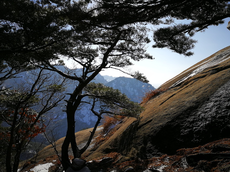 environment, seoul, non-urban scene, day, scenics - nature, south korea, view, tranquility, national park, hike, no people, branch, bukhansan national park