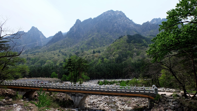  yangyang-gun, plant, seoraksan, scenics - nature, beauty in nature, trees, nature, environment, landscape photography, seoraksan national park