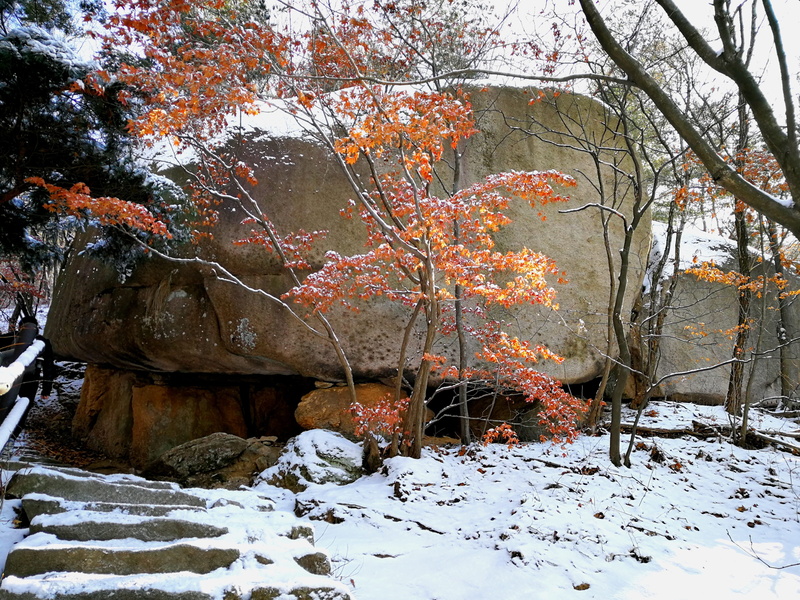 tranquility, scenics - nature, winter, leaves, outdoors, tranquil scene, 4K, orange color, non-urban scene, national park, cold temperature, no people