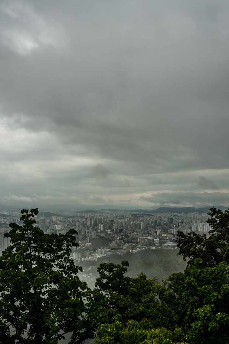 day, seoul, skyscraper, view, weather, cloud, outdoors, 4K, building, urban, big city, nature, mountain, foreground, korea, building exterior, plant, cityscape