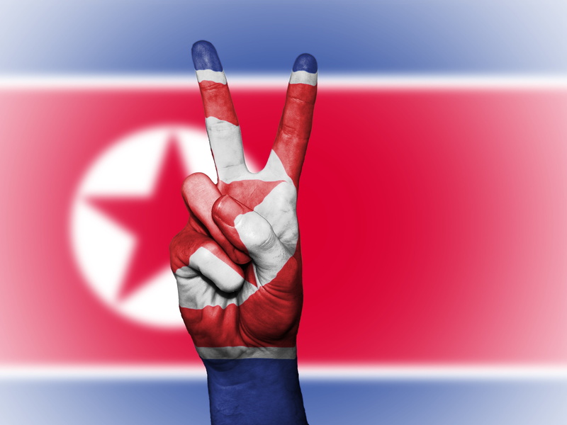 4K, close-up, flag, background, wall - building feature, hand, north korea, paint, red, colors, science, country, state, holding, human finger, showing
