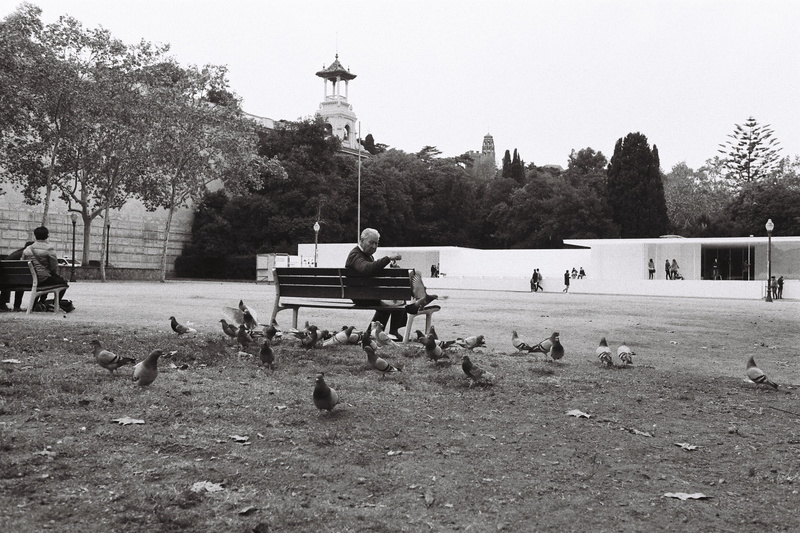 day, plant, pigeon, architecte, human representation, allemagne, sculpture, history, miesvanderrohe, real people, statue, men, park, barcelone, tree, birds