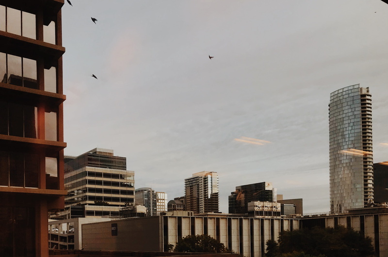 building, built structure, low angle view, day, modern, spire, skyscraper, steeple, tall - high, flying, bird, 601 n akard st, nature, animal, financial district