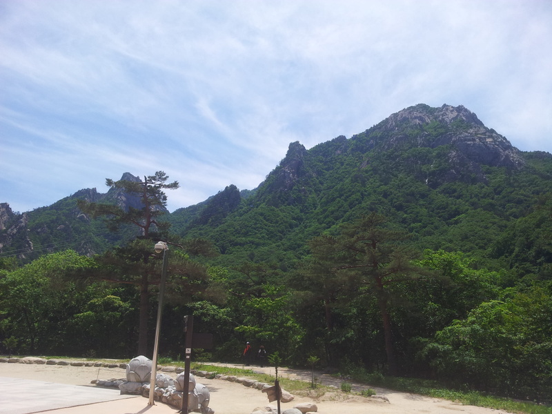 growth, tranquil scene, green color, ash, the local administration of mastery, oak, beauty in nature, plant, mountain, environment, day, sky, the cable car