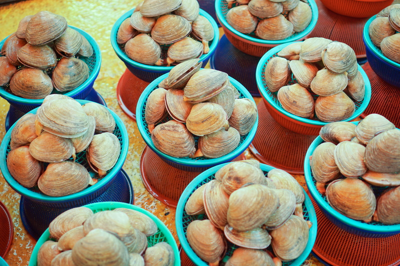 still life, abundance, clam, french food, close-up, 5K, Jagalchi Market, retail, business, large group of objects, high angle view, basket, market, for sale