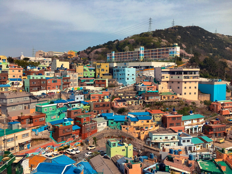 residential district, day, nature, house, high angle view, crowd, south korea, cloud - sky, sky, 4K, apartment, roof, busan, architecture, outdoors, city