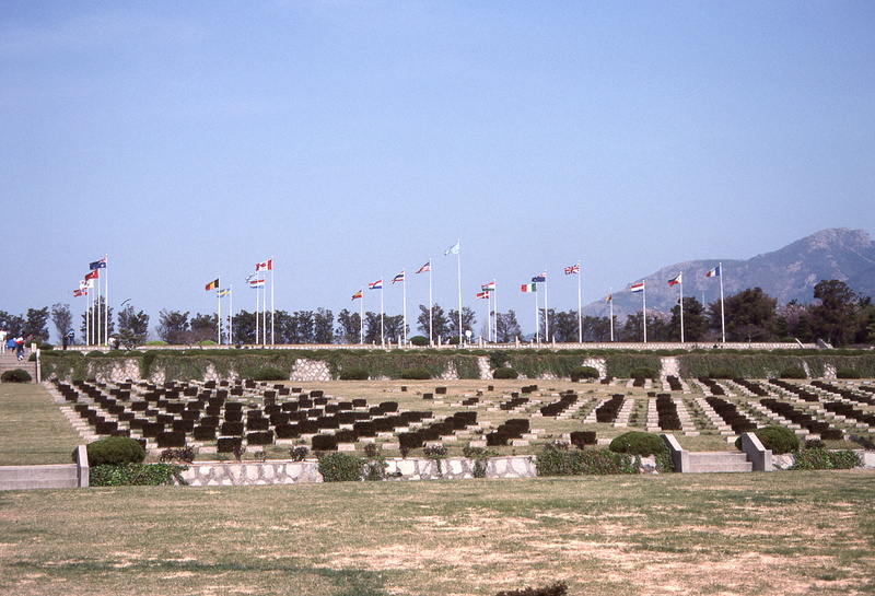 plant, travel, no people, environment, clear sky, korea, history, architecture, day, sky, stone, tombstone, grave, memorial, south korea, in a row, busan