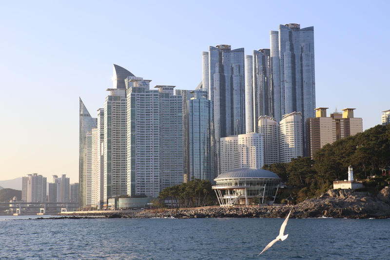 architecture And Buildings, 5K, tall - high, highrise, urban Skyline, landscape, Flooring, office Building, gull, office, built Structure, piff, korea