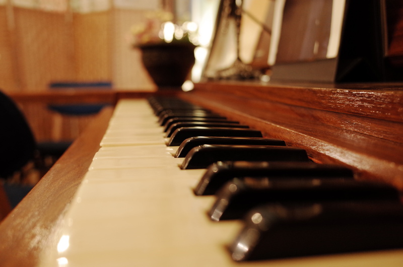 no people, white color, wood - material, focus on foreground, musical equipment, piano, keyboard, republic of korea, busan, cafe, diminishing perspective