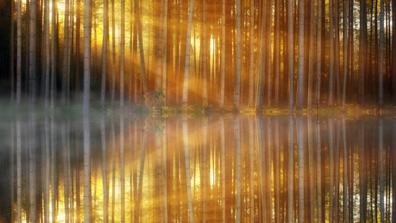 sunset, scenics - nature, land, mirroring, 5K, light, nature, outdoors, rays, orange color, passed, light beam, no people, trees, shimmer, foggy, tranquility