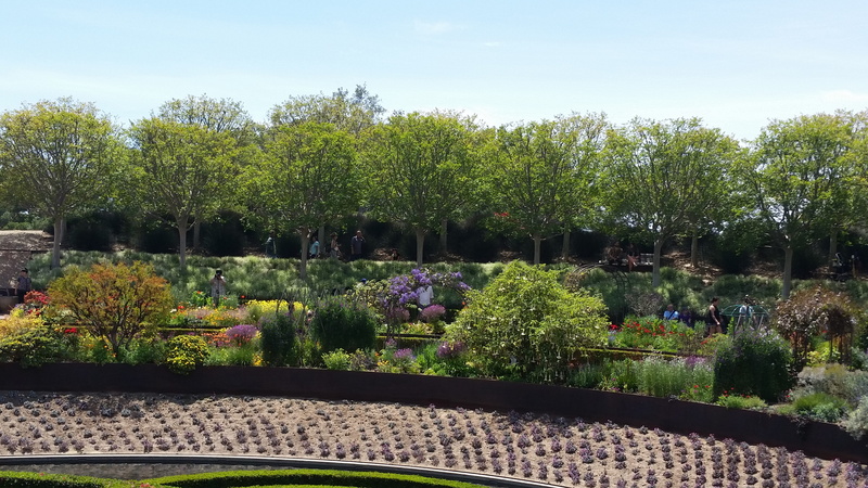 no people, 5K, nature, garden, tranquil scene, outdoors, the getty, park - man made space, tranquility, scenics - nature, park, plant, flowerbed, growth