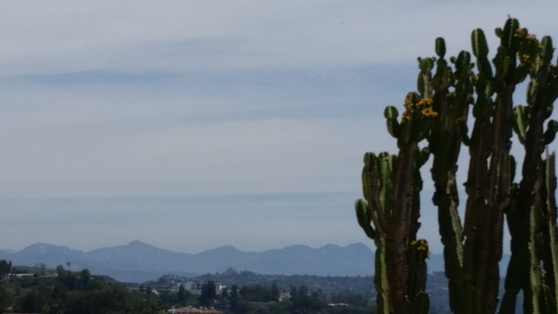 landscape, the getty, plant, 5K, architecture, nature, succulent plant, united states, city, cloud - sky, tranquil scene, environment, scenics - nature