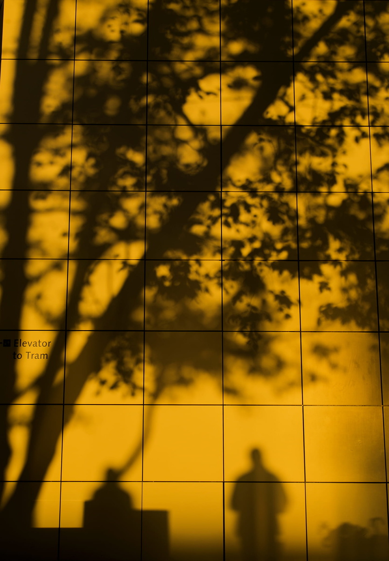 sky, reflection, tree, backgrounds, sunlight, yellow, digital composite, full frame, window, built structure, plant, shadow, the getty, pattern, architecture