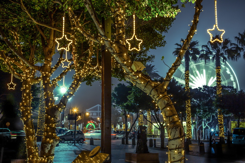 waterfront, twinkle, incidental people, night, decoration, illuminated, 4K, hanging, trees, lights, fairylights, light, outdoors, long exposure, color