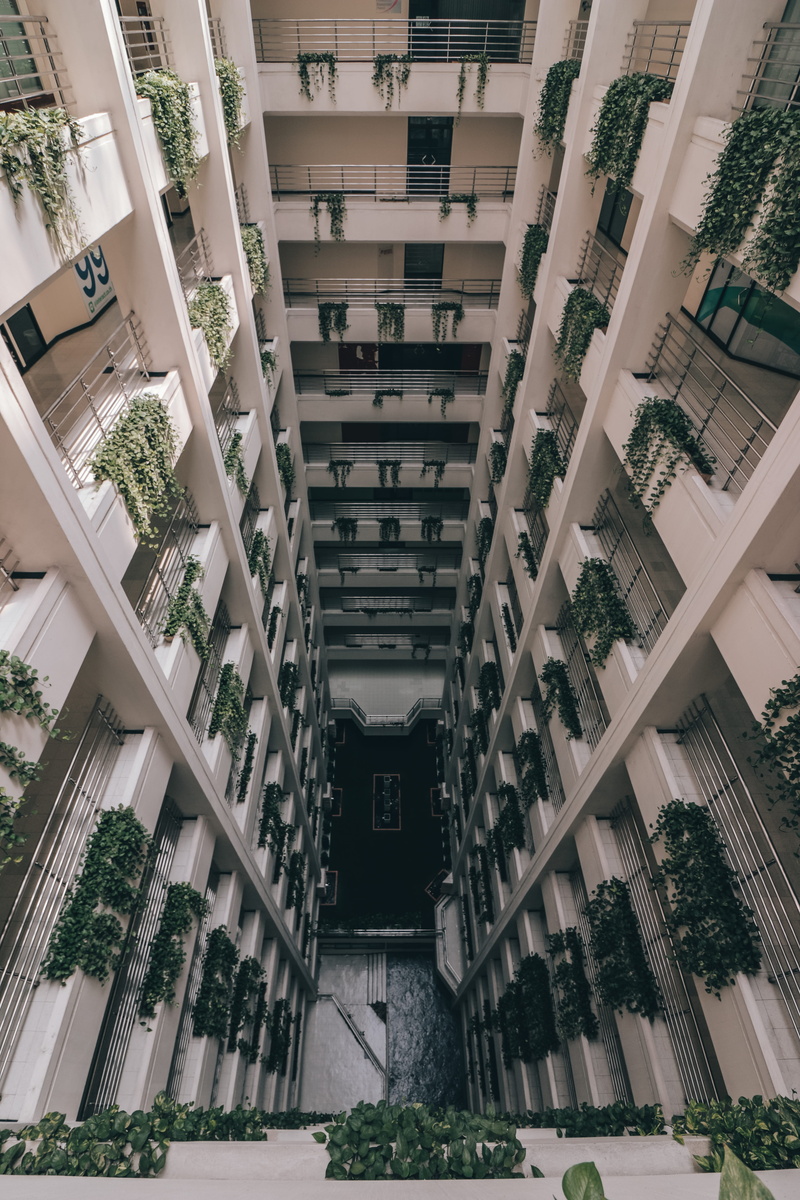 botanical, outdoors, asia, thailand, concrete, photograph, levels, residential District, hong Kong, city, building levels, mob, urban Scene, concrete jungle