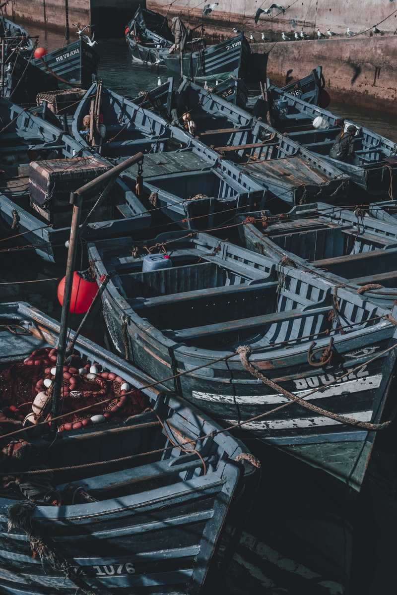 travel destinations, vehicle, ferry, nautical vessel, water, moored, wood - material, port, dock, day, architecture, aquatic, rowboat, boat, mode of transportation