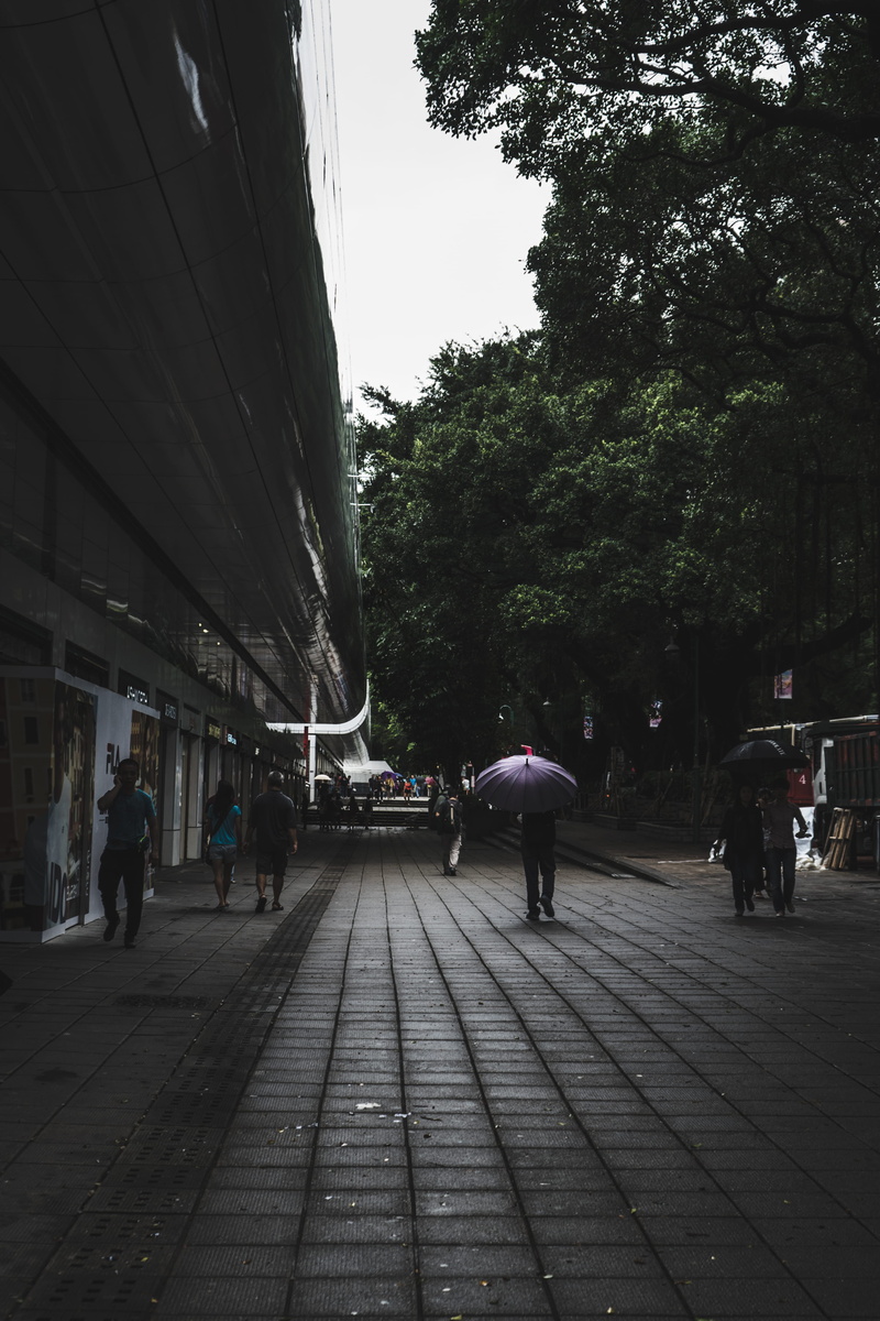 nature, candid, city, lifestyles, mode of transportation, umbrella, tree, built structure, urban, real people, direction, people, street, transportation