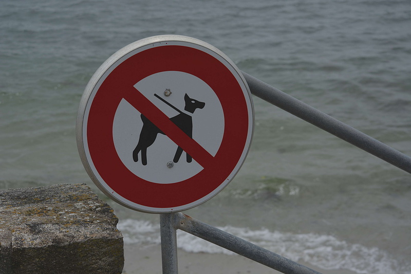 representation, chiens, no people, information sign, information symbol, plage, interdit aux chiens, water, circle, 4K, information, focus on foreground