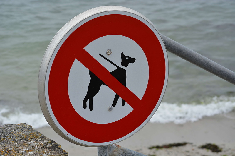 no people, panneau, red, safety, interdit aux chiens, communication, circle, outdoors, shape, water, 4K, plage, rouge, focus on foreground, geometric shape