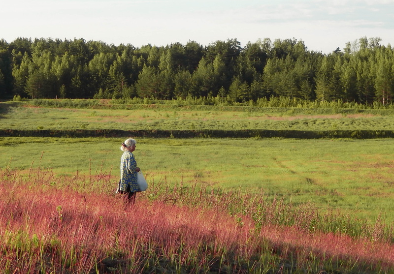 red grass, real people, grandma, tree, leisure activity, green, land, full length, 2K, grass, day, scenics - nature, one person, field, standing, beauty in nature