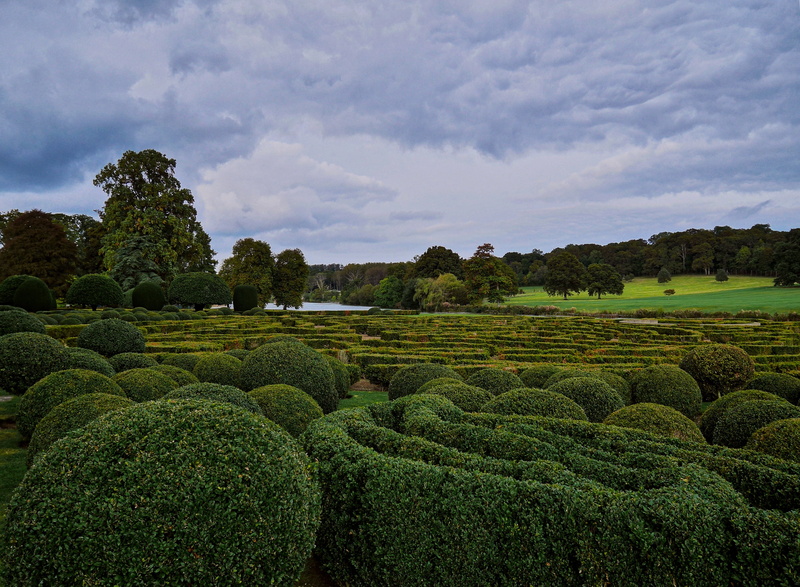 outdoors, scenics - nature, distance, privet, environment, green, nature, natural, hedging, tranquility, no people, beauty in nature, agriculture, plant