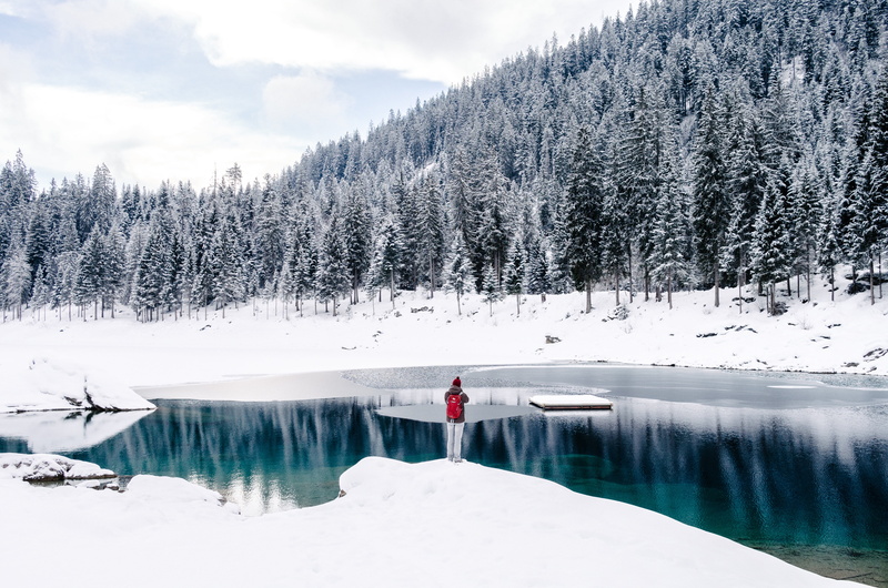 one person, tranquility, alone, man, full length, cold temperature, white, standing, real people, plant, only women, body, calm, one woman only, snow, day
