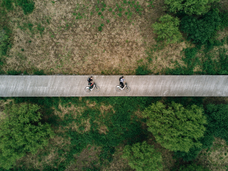 view, photography, 4K, bikerides, directly above, land, growth, person, bridge, plant, bicycle, green color, tree, people, nature, grass, bike, road, no people