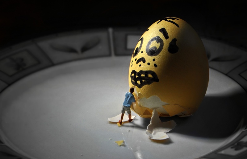 no people, white color, easter egg, representation, yellow, indoors, high angle view, body part, nature, food, animal wildlife, close-up, vertebrate, focus on foreground