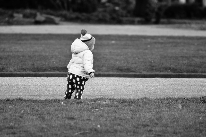 plant, 4K, park, real people, focus on foreground, kid, lifestyles, casual clothing, toddler, field, outdoors, kiddy, walking, people, leisure activity