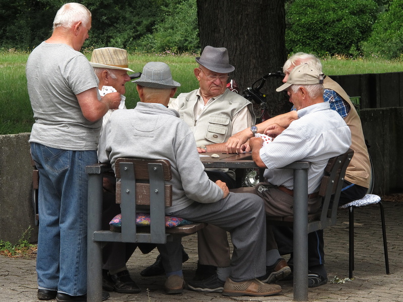 summer, group, casual clothing, women, males, personal, gamers, together, park, old, senior men, group of people, intellect, friendship, 2K, senior adult