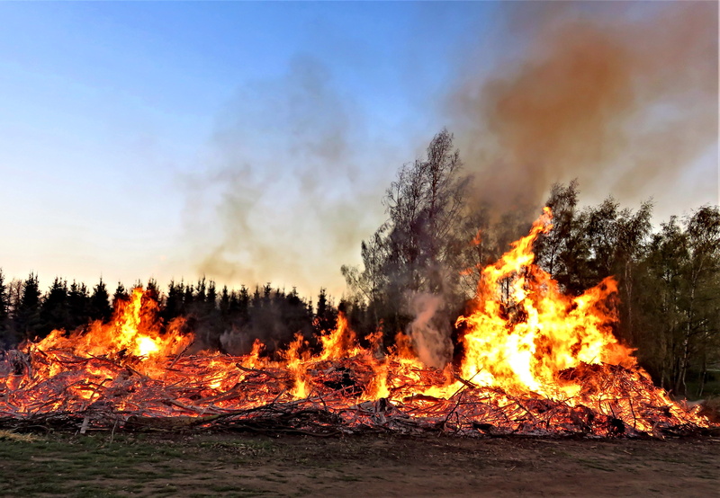 glowing, blaze, customs, heat - temperature, tree, pollution, wood, smoke - physical structure, heat, outdoors, sky, environmental issues, need old, evening meeting point