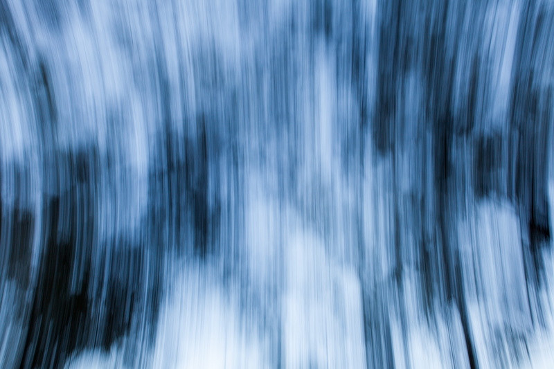 technology, illustration, blue, blur, 5K, motion, defocused, blurred Motion, tree, shape, pattern, speed, blurry, movement, abstract, nature, photoholgic