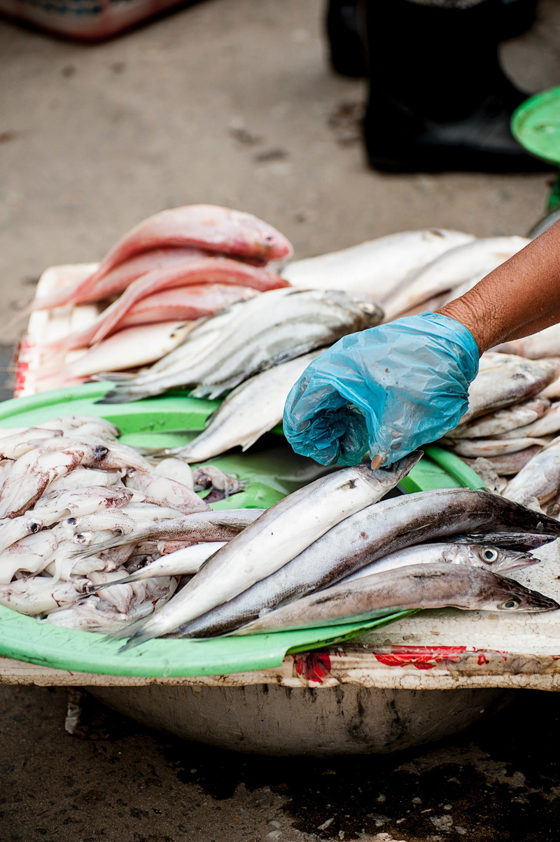 hand, person, fish market, human hand, outdoors, day, vendor, for sale, freshness, holding, 4K, food, dirty, garbage, environmental issues, squid, food and drink