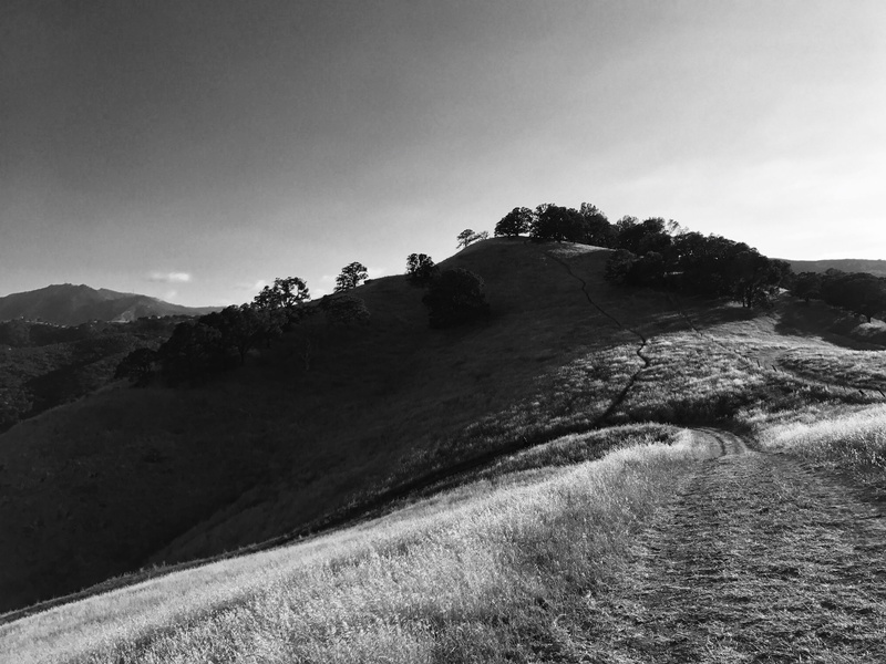 land, grass, tranquility, outdoors, silhouette, non-urban scene, growth, black diamond mines regional preserve, sky, trail, tranquil scene, 4K, beauty in nature