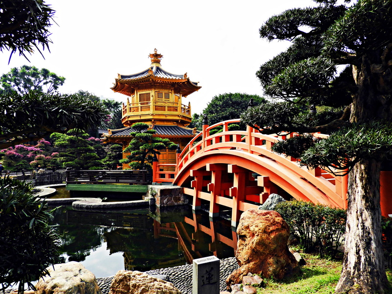nan lian garden, day, grass, building, temple, bridge, hong kong, travel destinations, tree, garden, chinese garden, arbour, 5K, water, built structure