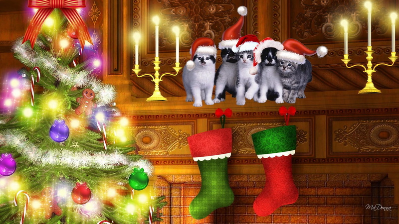 cats, santa, christmas, tree lights, 1080P, stockings hung by the fireplace, firefox persona, santa claus, kitten