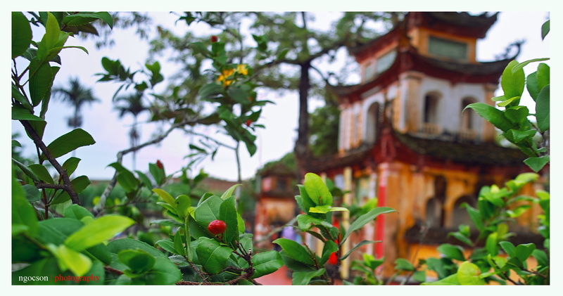viet, pagoda, khanh, hai, hung, 1080P, phong, nam