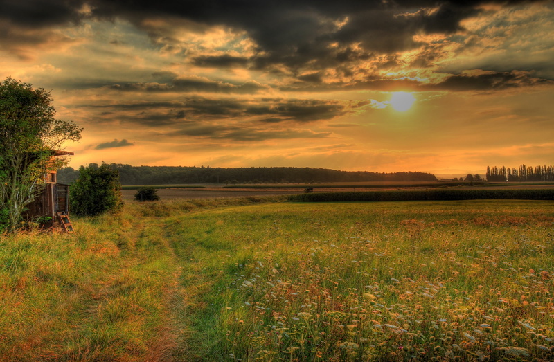 sky, scenics, hung, tranquil Scene, summer, season, forest, nature, cloud - Sky, multi Colored, growth, hesse, scenics - nature, germany, agriculture, pasture