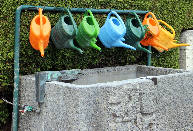 can, day, Casting, side by side, color, architecture, water, plant, no people, orange color, garden, grass, hanging, container, field, in a row, nature