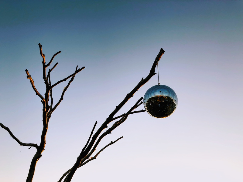 plant, outdoors, 4K, disco ball, tranquility, hanging, no people, party globe, sky, twig, clear sky, twik, low angle view, sparkling, sunlight, disco
