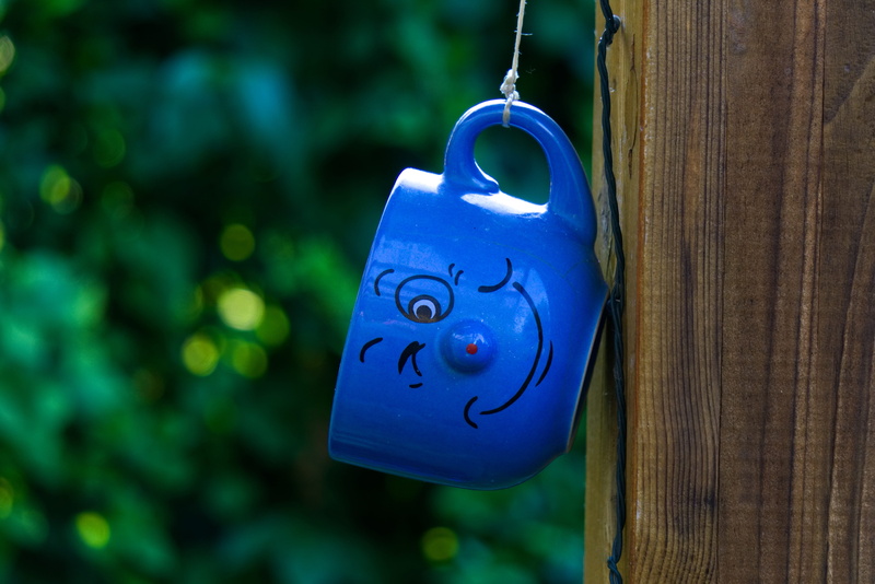 focus on foreground, design, day, plant, ceramic, security, communication, love, wink, bar, hung, henkel, blue, tree, close-up, shape, deco, emotion, 5K