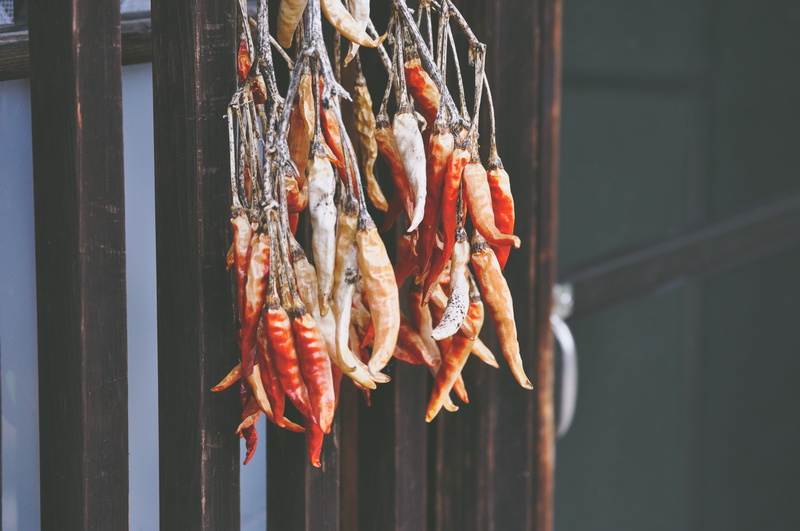 daytime, outdoors, focus on foreground, travel, chili peppers, vertebrate, seafood, string, dry, dried, produce, market, meat, wellbeing, crustacean, for sale