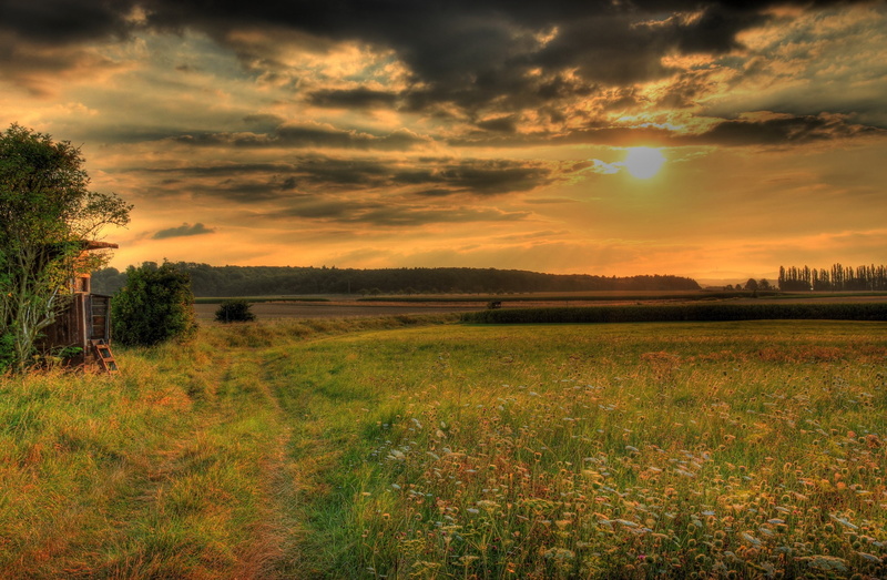 Hesse, Hdr, non-urban scene, tranquil scene, Nature, Germany, cloud - sky, environment, tree, idyllic, Sky, sunset, field, landscape, plant, outdoors, rural scene