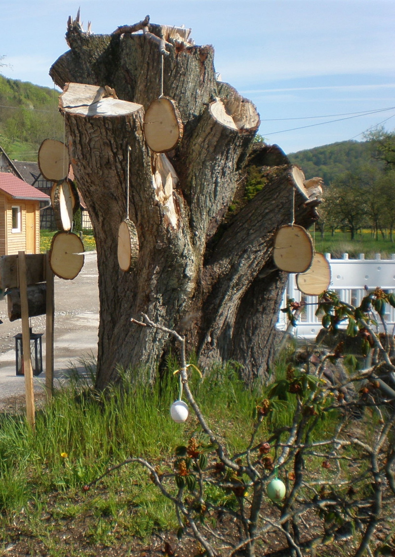 easter tree, built structure, field, tree grates, easter, wood, wood - material, tree trunk, sky, bark, day, tree, no people, architecture, hung, easter egg