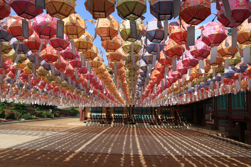 lighting equipment, color, event, religion, abundance, no people, decoration, lantern, belief, genesis, assorted, chinese lantern, multi colored, 5K, chinese new year